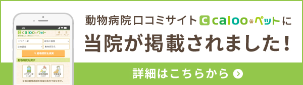 calooペット