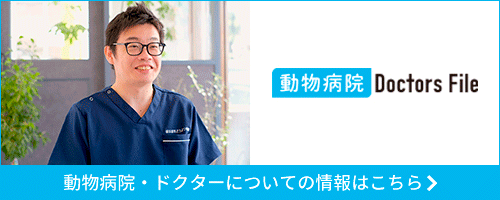 ドクターズファイル