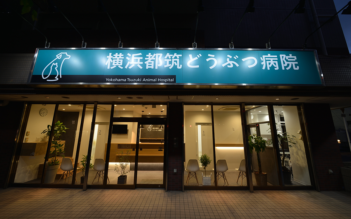 横浜都筑どうぶつ病院
