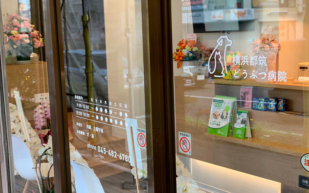 横浜都筑どうぶつ病院